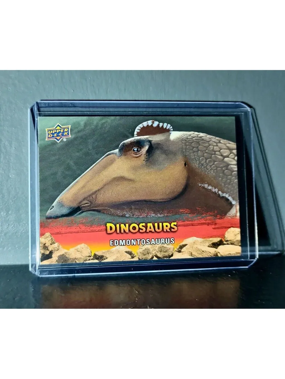 2015 Upper Deck Dinosaurs Edmontosaurus Extinction Red Parallel #34 Card